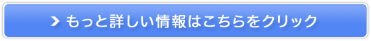 INICR[q[̔TCg